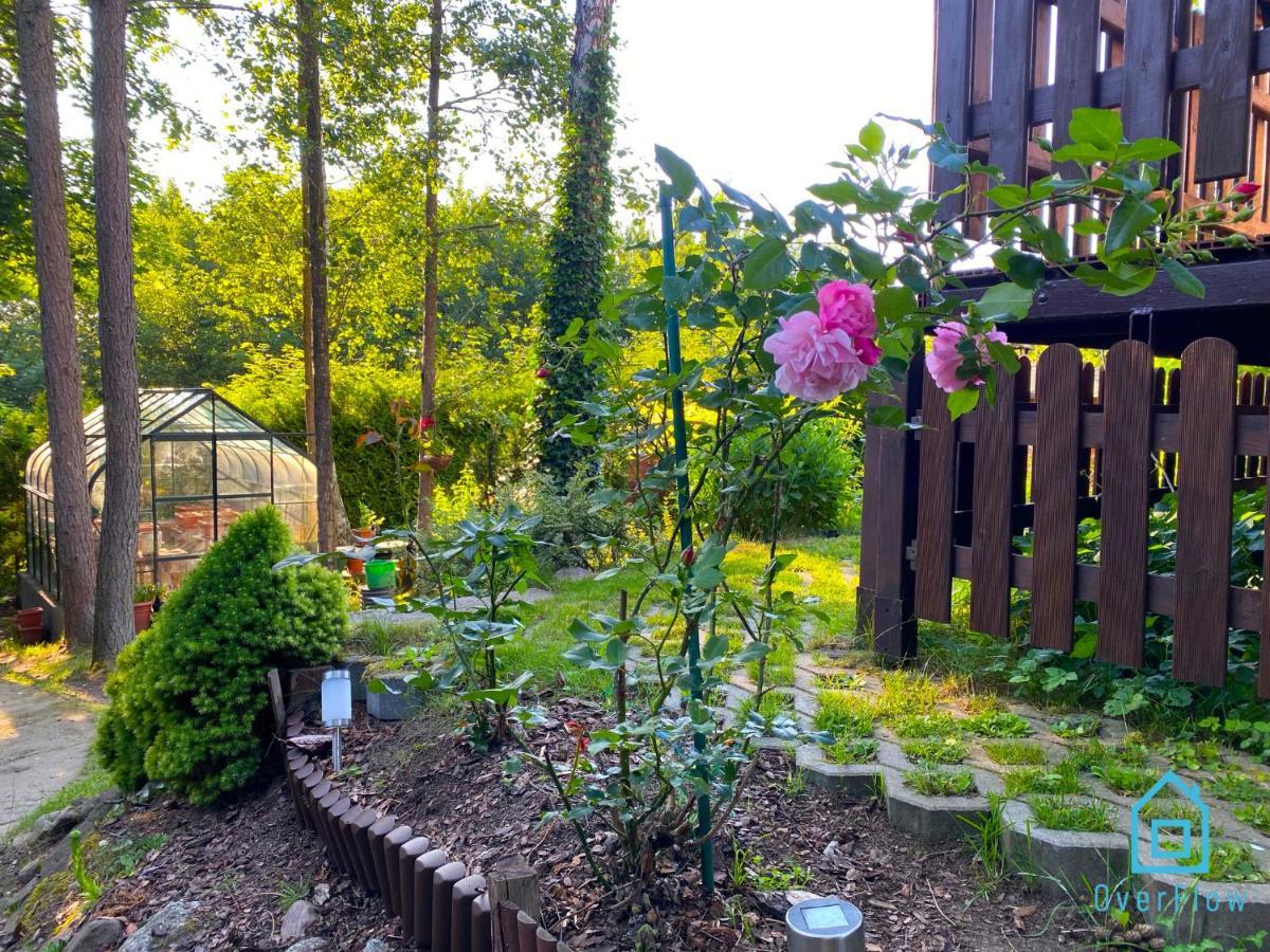 Holibobos Year Round Cottage In Kamien By The Lake Only 30 Minutes From Gdansk And Gdynia מראה חיצוני תמונה
